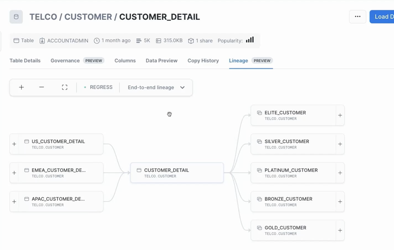 Snowflake Horizon Lineage Tab